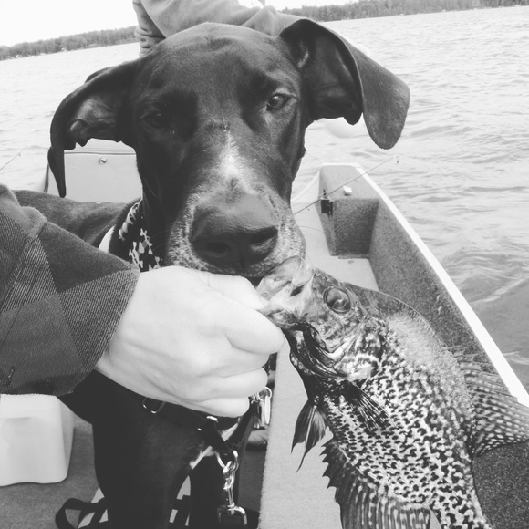 🐎Unlisted🐾 items - Picture 5 of 5